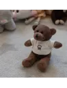 Oso de peluche EMT